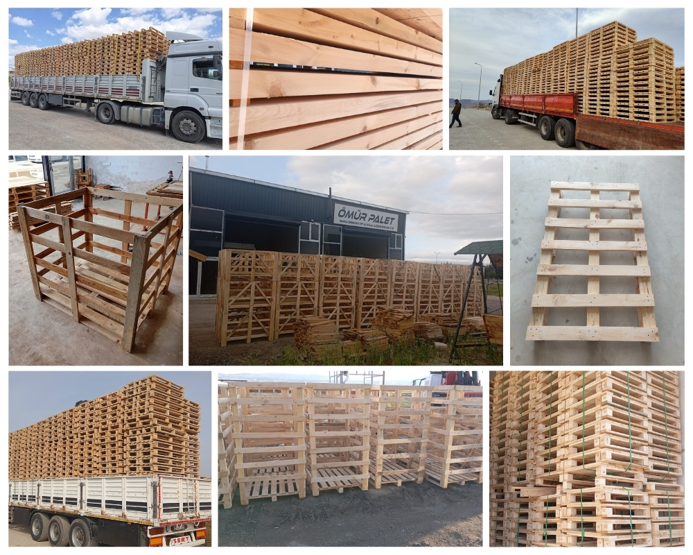 Hardinxveld-Giessendam Houten Kisten, Europallets Groothandel Kopen